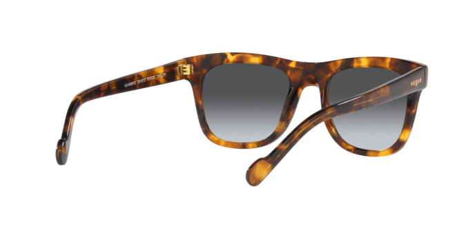 Vogue Sunglasses VO5465S 2819T3