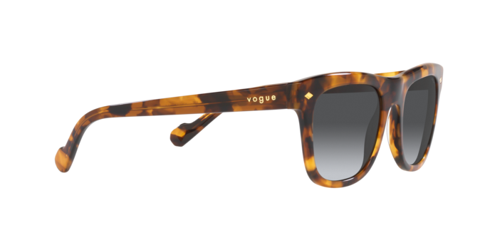 Vogue Sunglasses VO5465S 2819T3