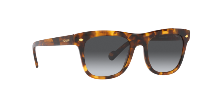 Vogue Sunglasses VO5465S 2819T3