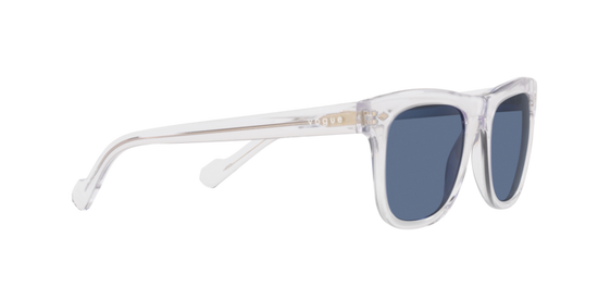 Vogue Sunglasses VO5465S W74580