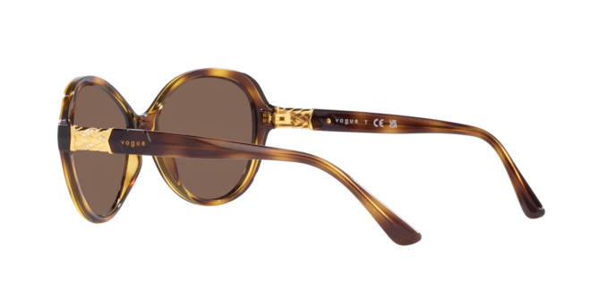 Vogue Sunglasses VO5475SB W65673