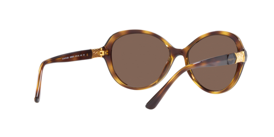 Vogue Sunglasses VO5475SB W65673