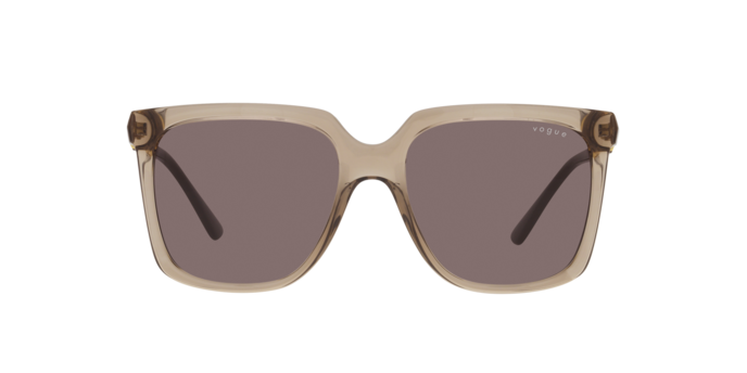Vogue Sunglasses VO5476SB 29407N