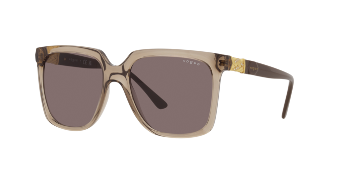Vogue Sunglasses VO5476SB 29407N