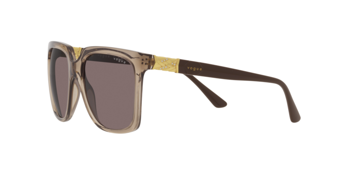 Vogue Sunglasses VO5476SB 29407N