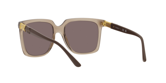 Vogue Sunglasses VO5476SB 29407N