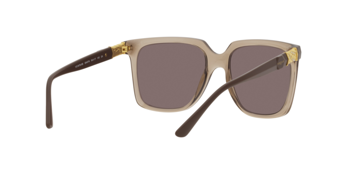 Vogue Sunglasses VO5476SB 29407N