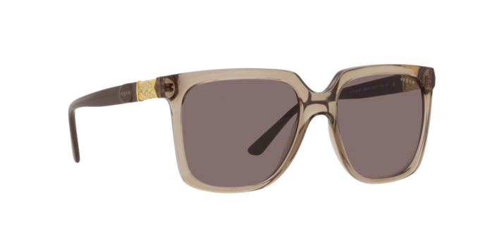 Vogue Sunglasses VO5476SB 29407N
