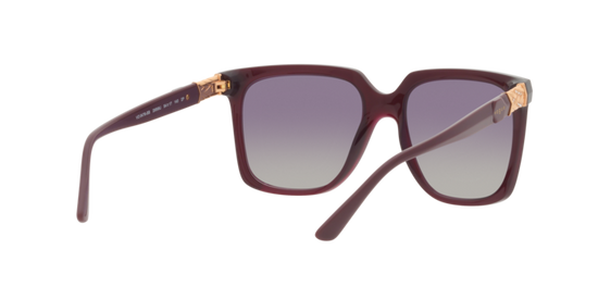 Vogue Sunglasses VO5476SB 29898J