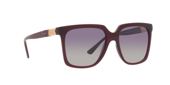 Vogue Sunglasses VO5476SB 29898J