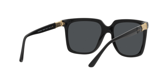 Vogue Sunglasses VO5476SB W44/87