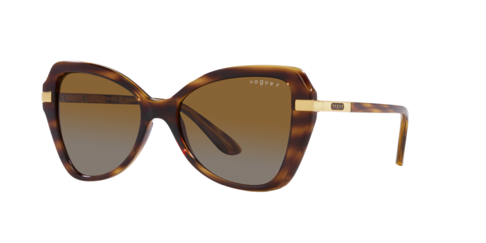 Vogue Sunglasses VO5479S 1508T5