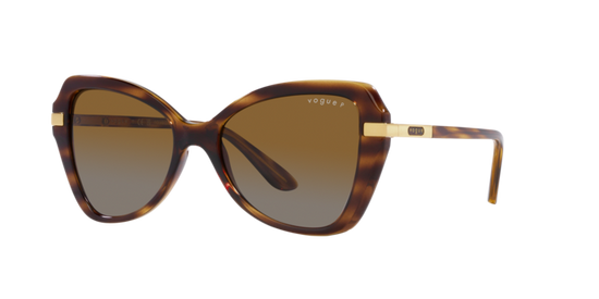 Vogue Sunglasses VO5479S 1508T5