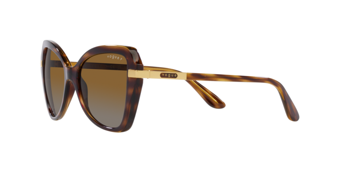 Vogue Sunglasses VO5479S 1508T5