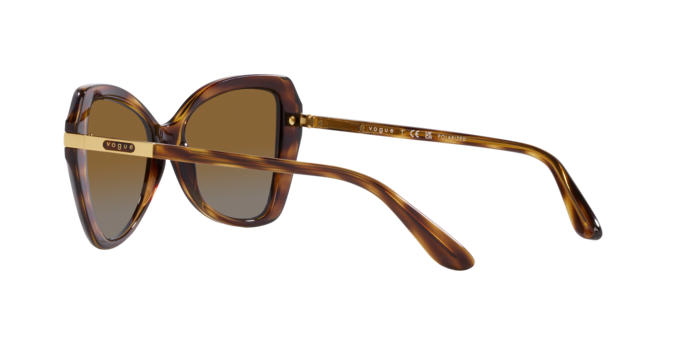 Vogue Sunglasses VO5479S 1508T5