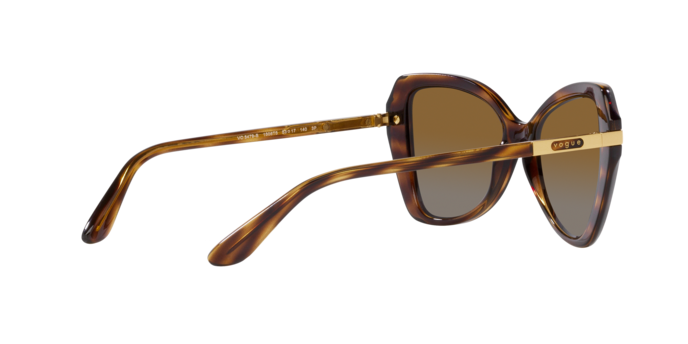 Vogue Sunglasses VO5479S 1508T5