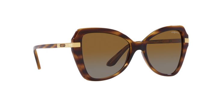 Vogue Sunglasses VO5479S 1508T5