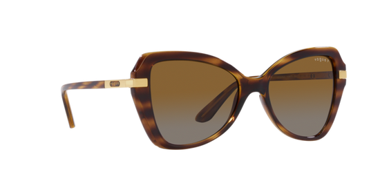 Vogue Sunglasses VO5479S 1508T5