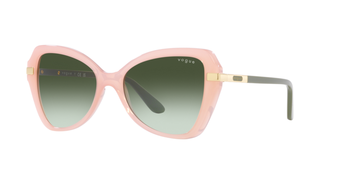 Vogue Sunglasses VO5479S 30538E