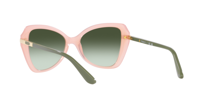 Vogue Sunglasses VO5479S 30538E