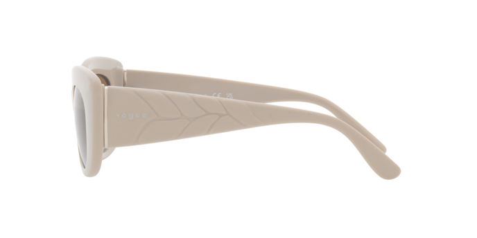 Vogue Sunglasses VO5480S 304968