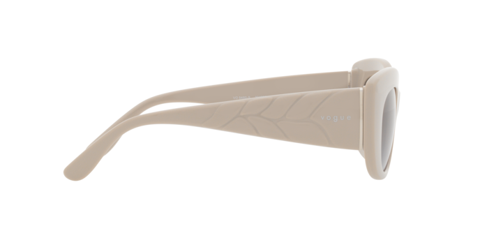 Vogue Sunglasses VO5480S 304968