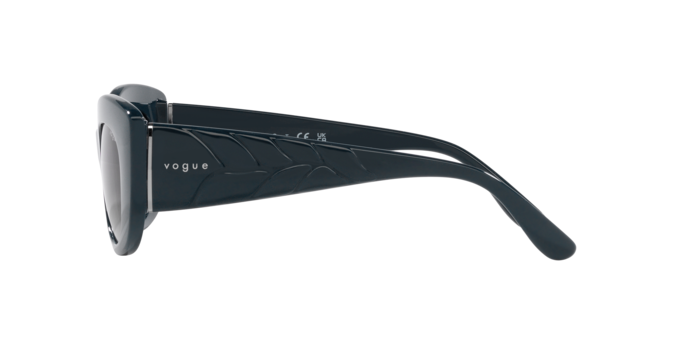 Vogue Sunglasses VO5480S 305111