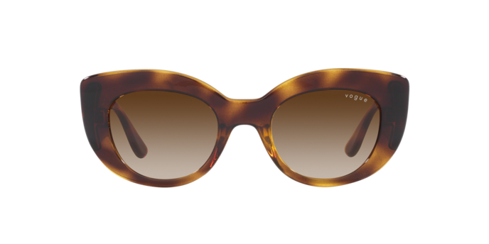 Vogue Sunglasses VO5480S W65613