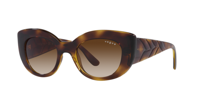 Vogue Sunglasses VO5480S W65613