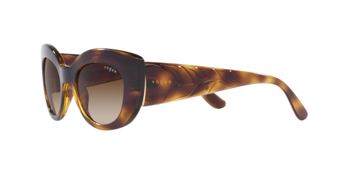 Vogue Sunglasses VO5480S W65613