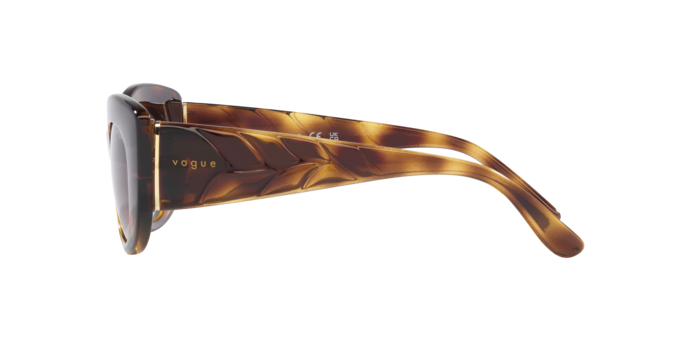 Vogue Sunglasses VO5480S W65613