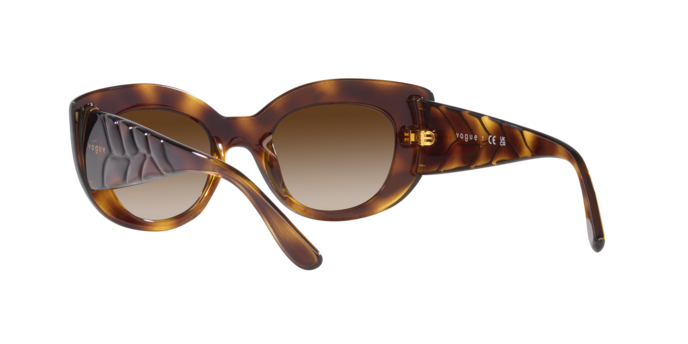 Vogue Sunglasses VO5480S W65613