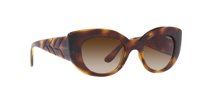 Vogue Sunglasses VO5480S W65613