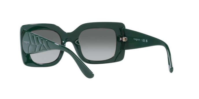 Vogue Sunglasses VO5481S 305011