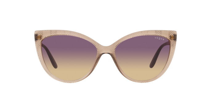 Vogue Sunglasses VO5484S 294070