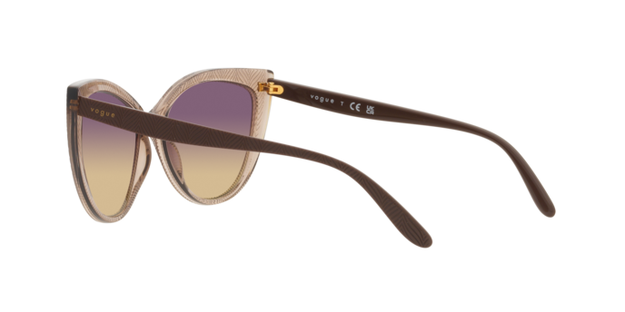 Vogue Sunglasses VO5484S 294070