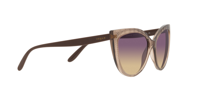 Vogue Sunglasses VO5484S 294070