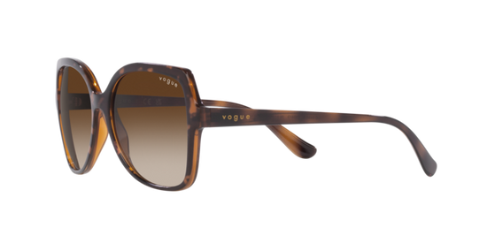 Vogue Sunglasses VO5488S 238613