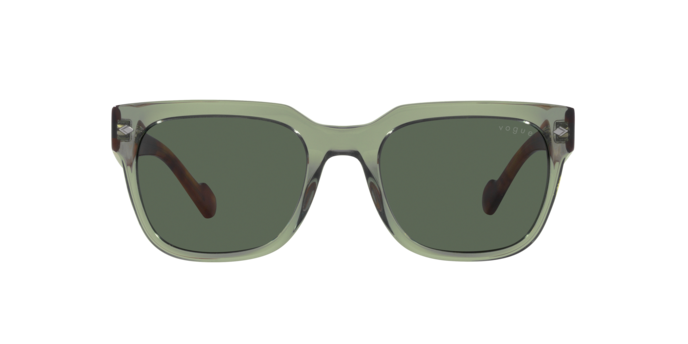 Vogue Sunglasses VO5490S 282171