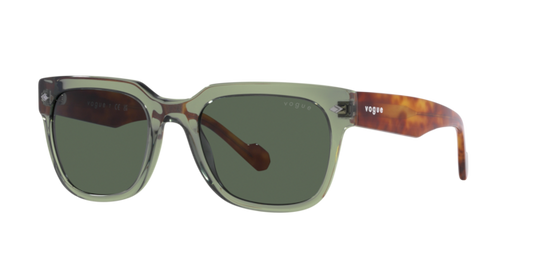 Vogue Sunglasses VO5490S 282171