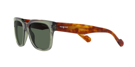 Vogue Sunglasses VO5490S 282171