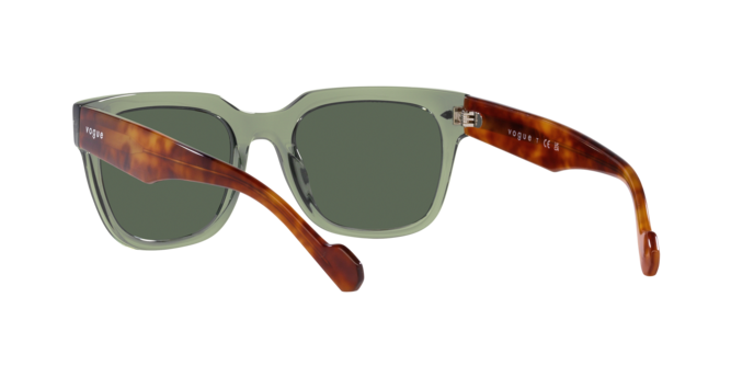 Vogue Sunglasses VO5490S 282171