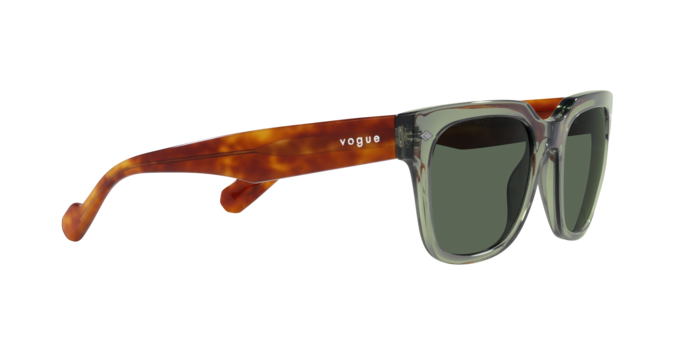 Vogue Sunglasses VO5490S 282171