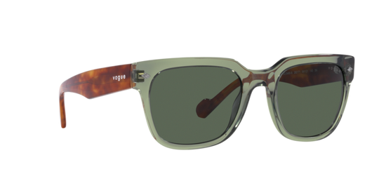 Vogue Sunglasses VO5490S 282171