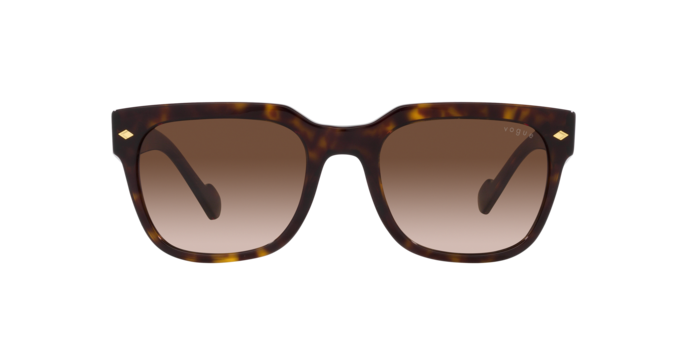 Vogue Sunglasses VO5490S W65613