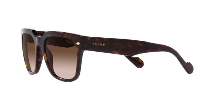 Vogue Sunglasses VO5490S W65613