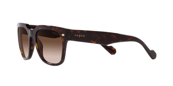 Vogue Sunglasses VO5490S W65613