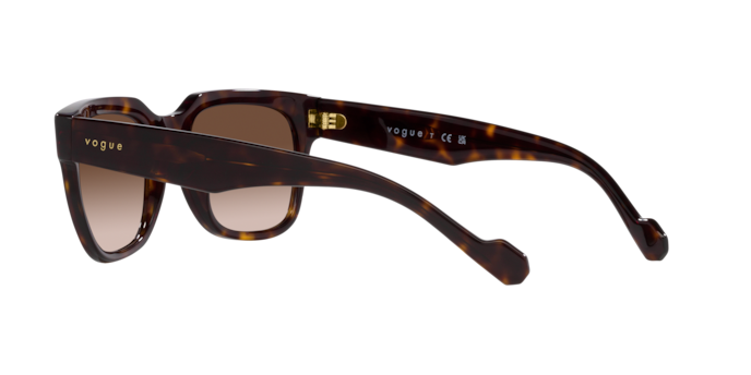 Vogue Sunglasses VO5490S W65613