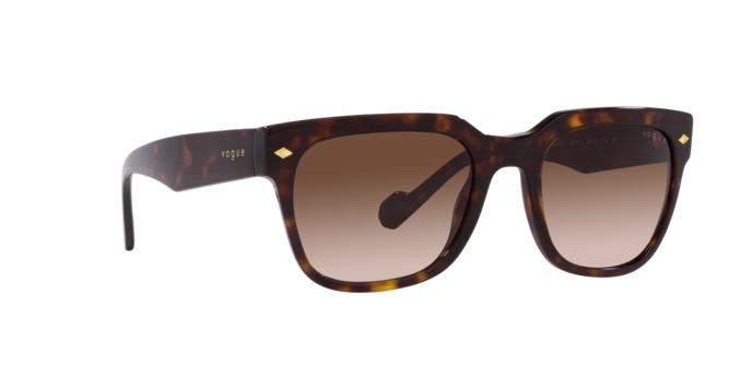 Vogue Sunglasses VO5490S W65613