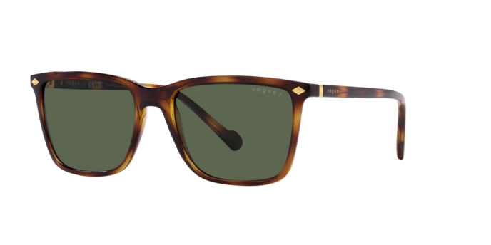 Vogue Sunglasses VO5493S 27189A